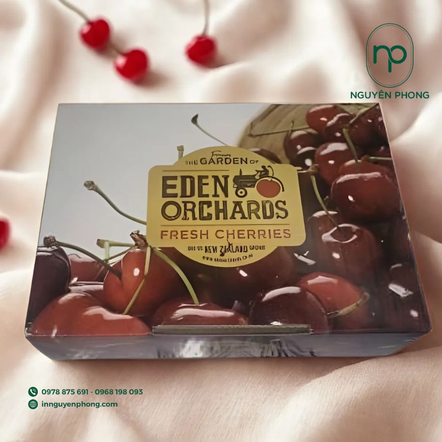 in-hop-giay-dung-cherry-gia-re-tai-ha-noi